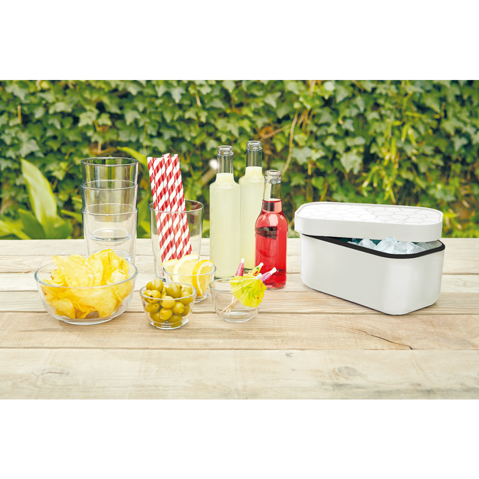 IJsblokjesvorm met bewaardoos - White