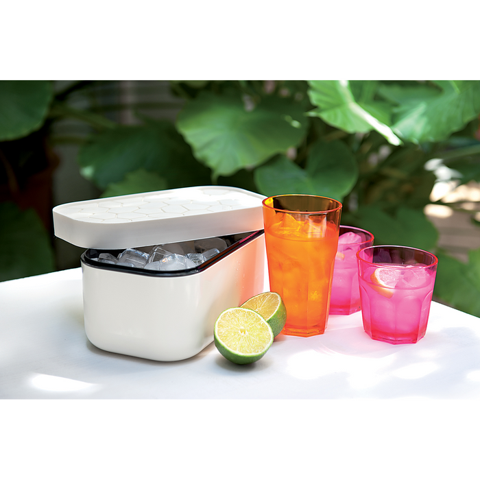 IJsblokjesvorm met bewaardoos - White