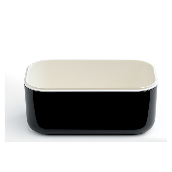 IJsblokjesvorm met bewaardoos - Black