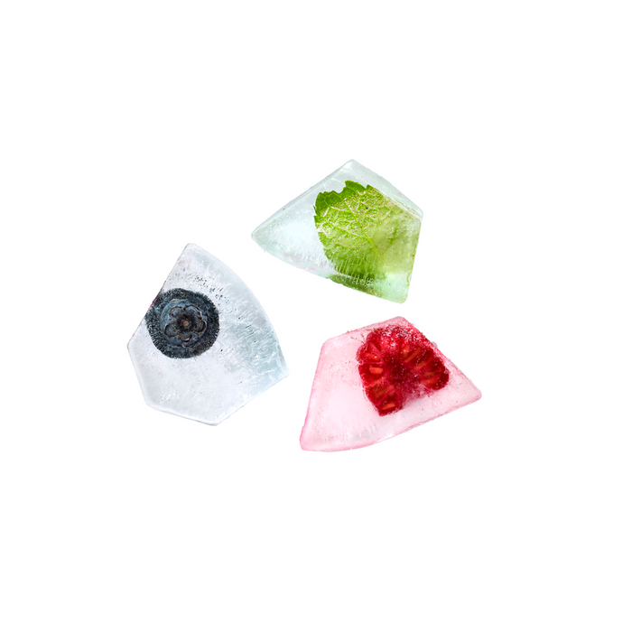 IJsblokjesvorm met bewaardoos - Black