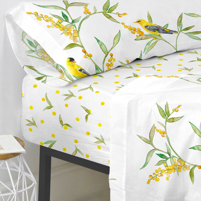 Happy Friday Hoeslaken Corniglia