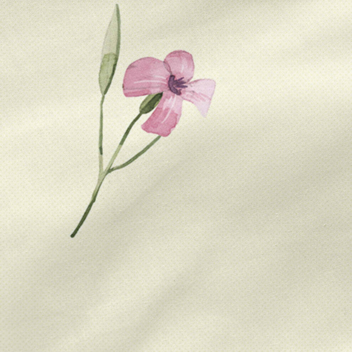 Happy Friday Hoeslaken Manarola