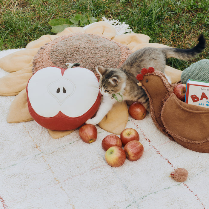 329143-x03-202506120228-A.jpg (10354371)