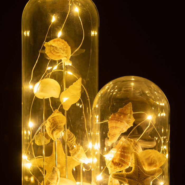 94a71521-6968-4027-9cb3-dd778a1704c9-afbeelding6.jpg (10359488)