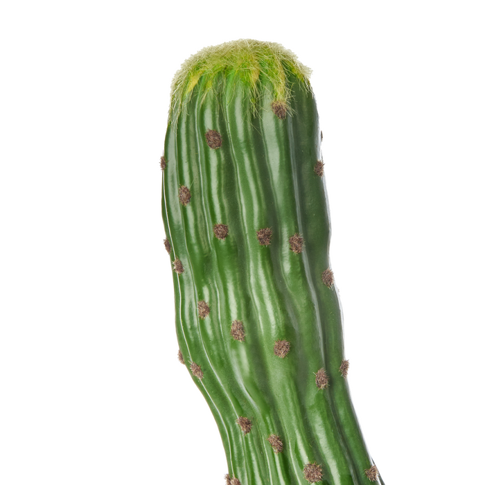 Beliani - MAROCCO CEREUS - Kunstplant - Groen - 115 cm - Kunststof