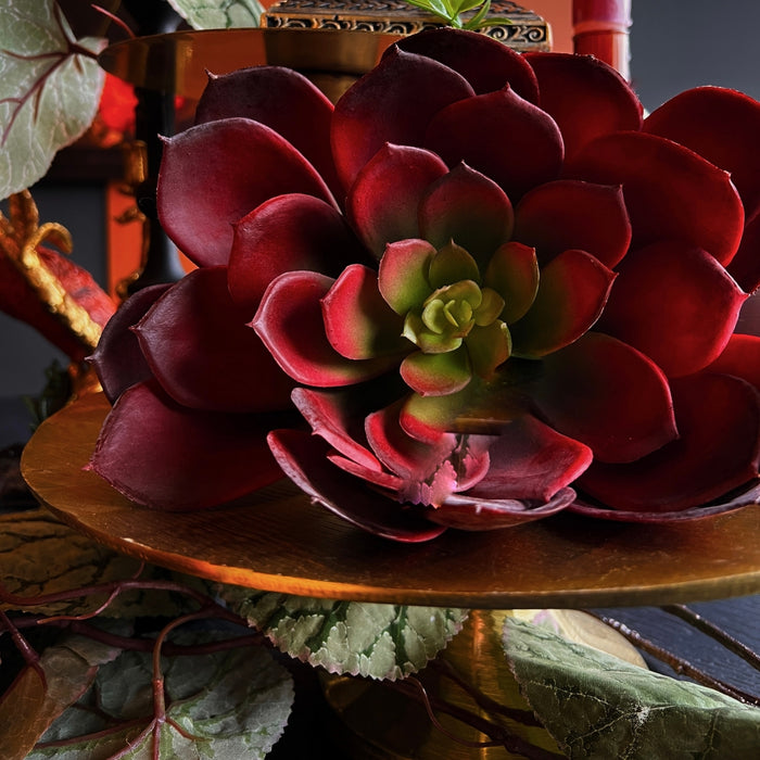 Fleurdirect Kunstplant Echeveria - - Polyester - 0x20x0cm (BxHxD)