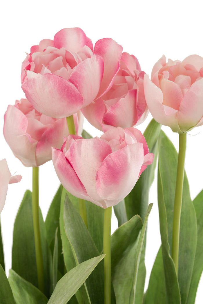 J-line - Tulpen In Pot Cement Grijs Plastiek Roze|groen - 34x31x49cm