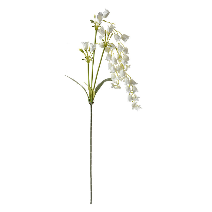 dbdc1e6c-db7a-484c-96f8-1061f92ce9cb-afbeelding10.jpg (10362857)