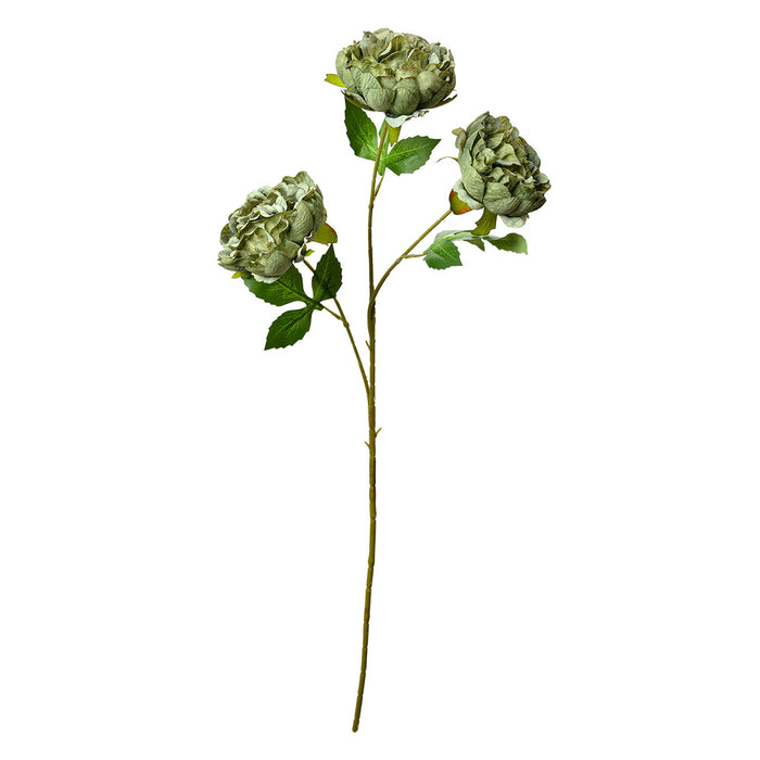 ec9e6c6c-01b3-4f6a-863d-8a1aa7dc28b5-afbeelding10.jpg (10362900)