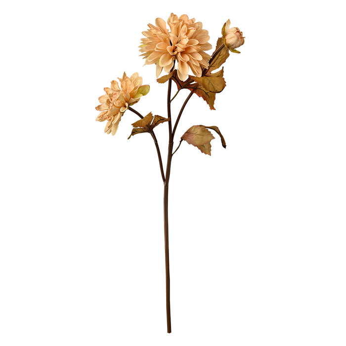 55276173-85cb-4426-b419-d46348d08fd2-afbeelding10.jpg (10363038)