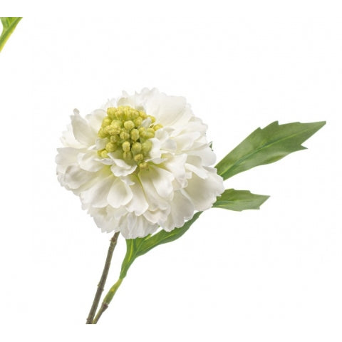 Fleurdirect Kunstbloem Scabiosa - Wit - Polyester - 0x62x0cm (BxHxD)