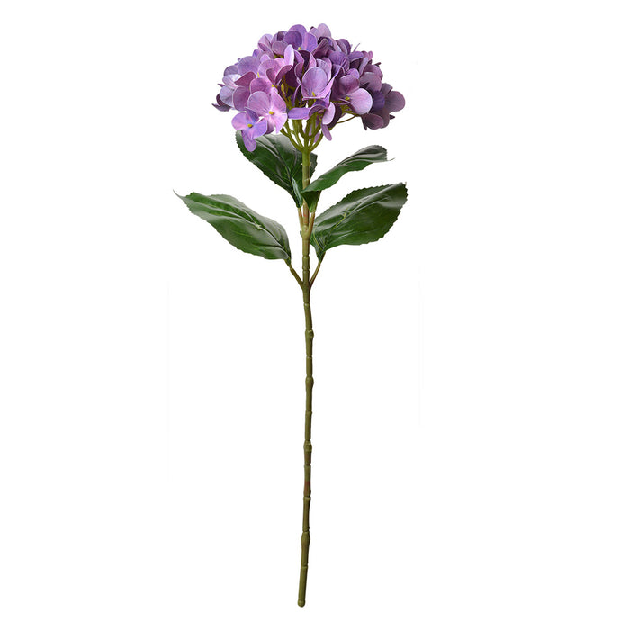 35691c84-4c21-4e67-a546-8902dfc76c9f-afbeelding10.jpg (10363518)