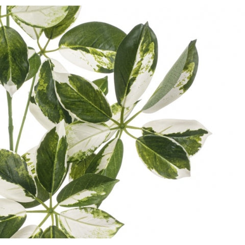 65b0b645-06cf-4919-b674-e9e714bc9316-afbeelding3.jpg (10363619)