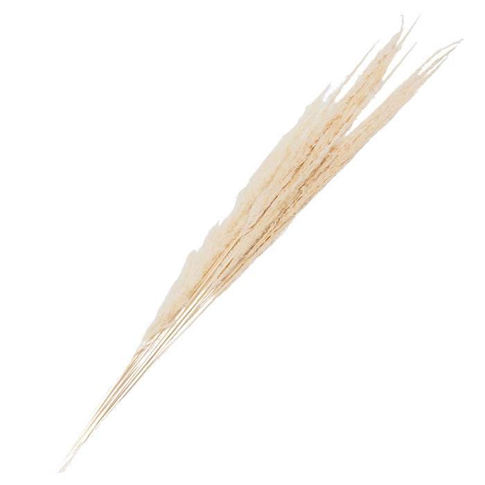 Clayre & Eef Droogbloemen 90 cm Wit Droogbloemen Droogboeket