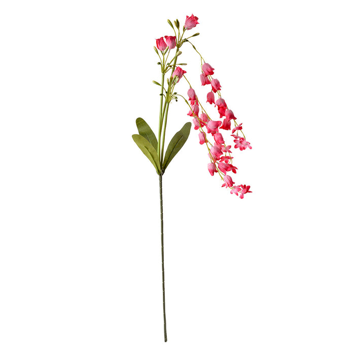 71a97791-4204-4907-91c1-ac01a35950c7-afbeelding10.jpg (10363843)