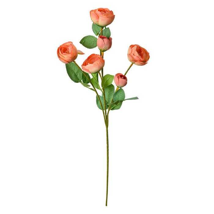 e3c4da62-650b-4e81-b597-2c7f4fffaf5f-afbeelding10.jpg (10365359)