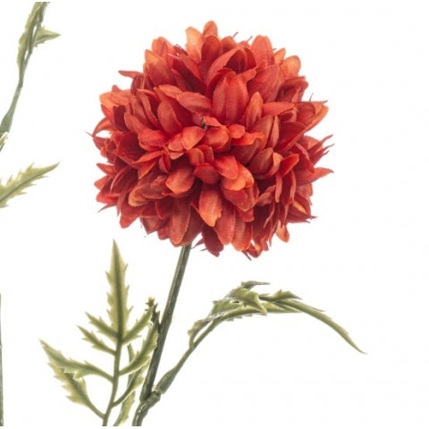 101126b7-2835-4549-8869-b1baeb09009f-afbeelding3.jpg (10365404)