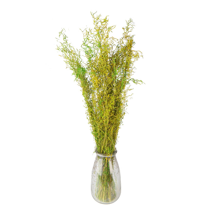 Clayre & Eef Droogbloemen 90 cm Groen Droogbloemen Droogboeket