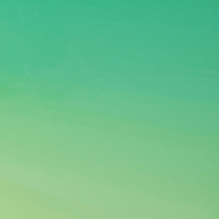 c91d1724-58e0-41a8-ab11-e39f565a4566-afbeelding4.jpg (10369233)