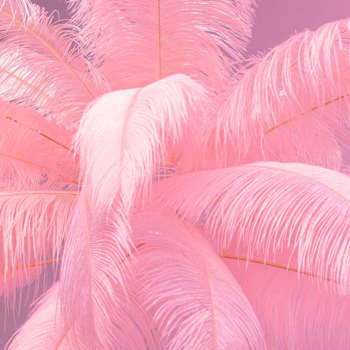 e14ac3e9-9a27-4275-903d-72752a092ad1-afbeelding4.jpg (10369693)