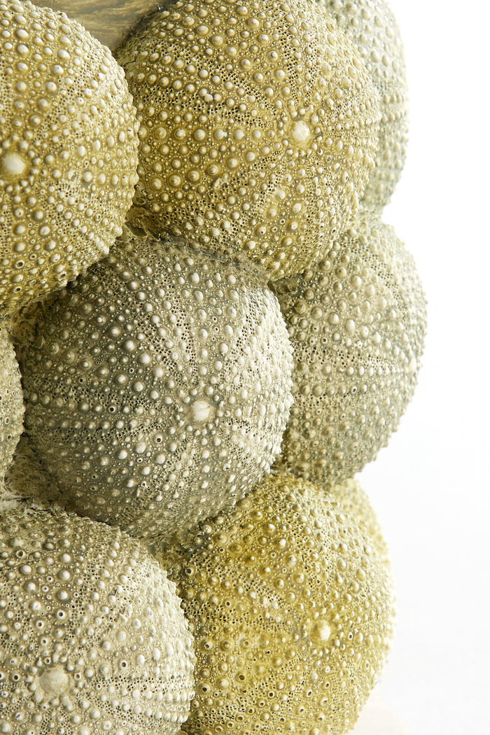 Light & Living - Vaas SEA URCHIN - Ø19x32.5cm - Groen