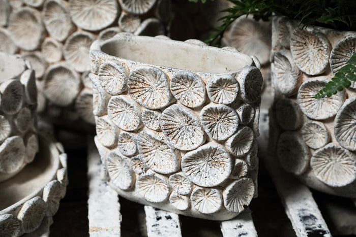 PTMD Ayisy Cream Oval Cement Pot With Coral L