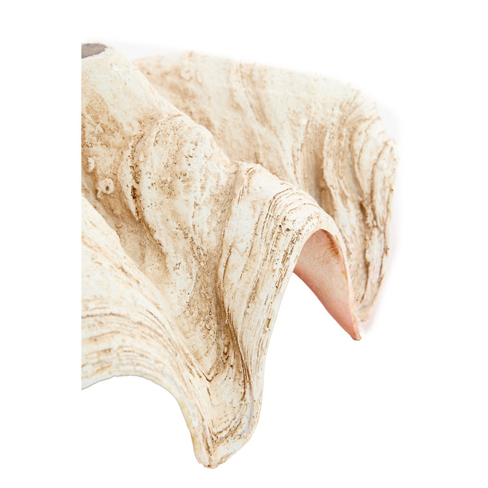 Light & Living - Ornament SHELL - 41x25x17cm - Bruin