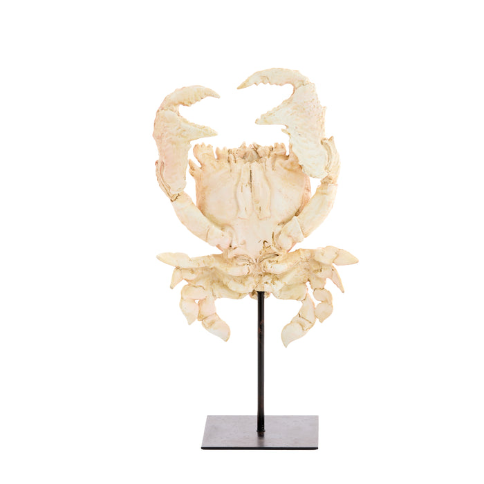 Light & Living - Ornament CRAB - 23x12.5x42.5cm - Oranje