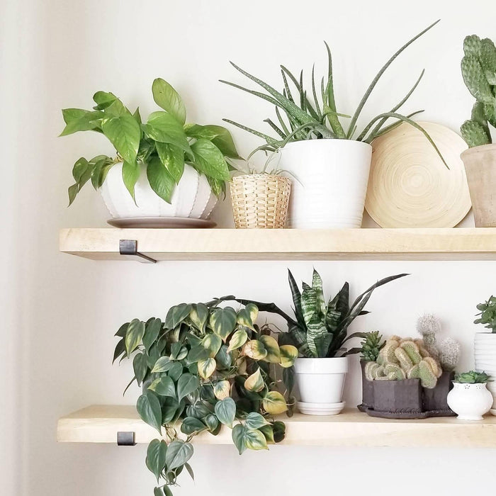 Kalune Design Wandplank Lamar