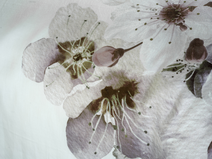 Heckett Lane Dekbedovertrek Katoen Satijn Fai - off white