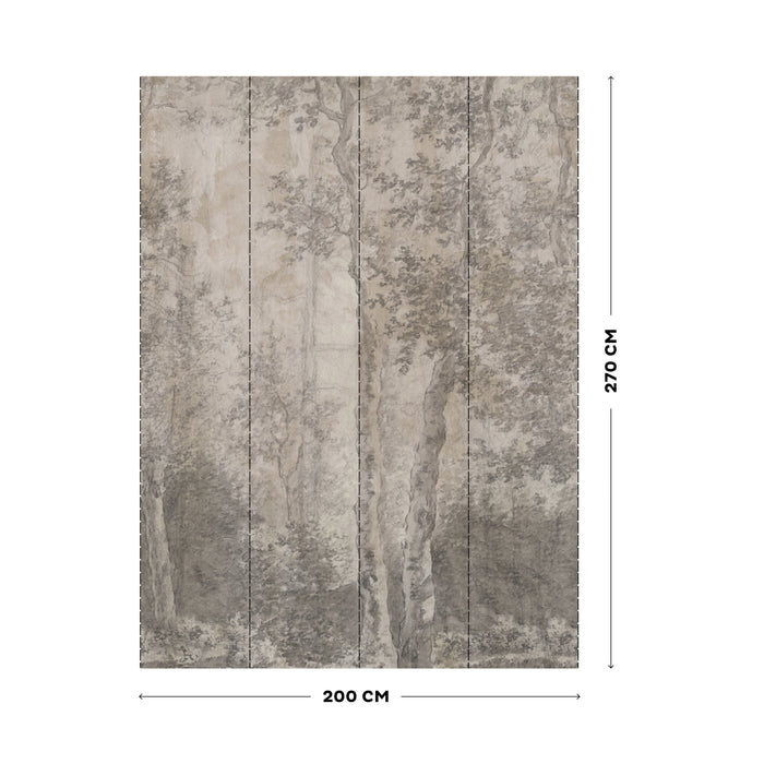 LOOKS by Wolfgang Joop Fotobehang - Birkenb�ume - 270x200cm