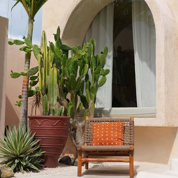 26e19f24-80eb-4d9e-96d4-c6d499e53bae-afbeelding4.jpg (10409634)