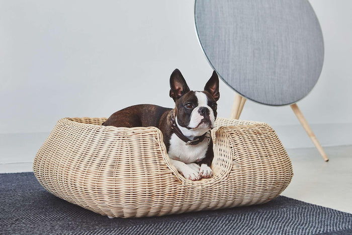 c29909ef-f7d6-4362-94c3-6f32e927f3c7-afbeelding9.jpg (10434526)