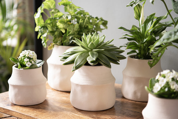 060c97dd-1d94-40c0-96d6-54db662f3605-afbeelding5.jpg (10440921)