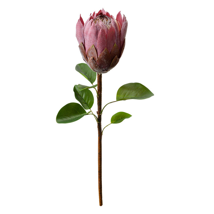 e5e475f9-3393-44c3-af3e-7f80adaa1be6-afbeelding3.jpg (10441242)