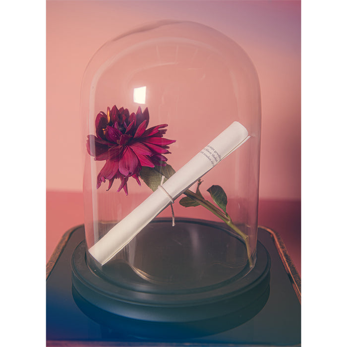 e1fbc5a6-522d-46a3-a27a-f3436d500683-afbeelding7.jpg (10441303)