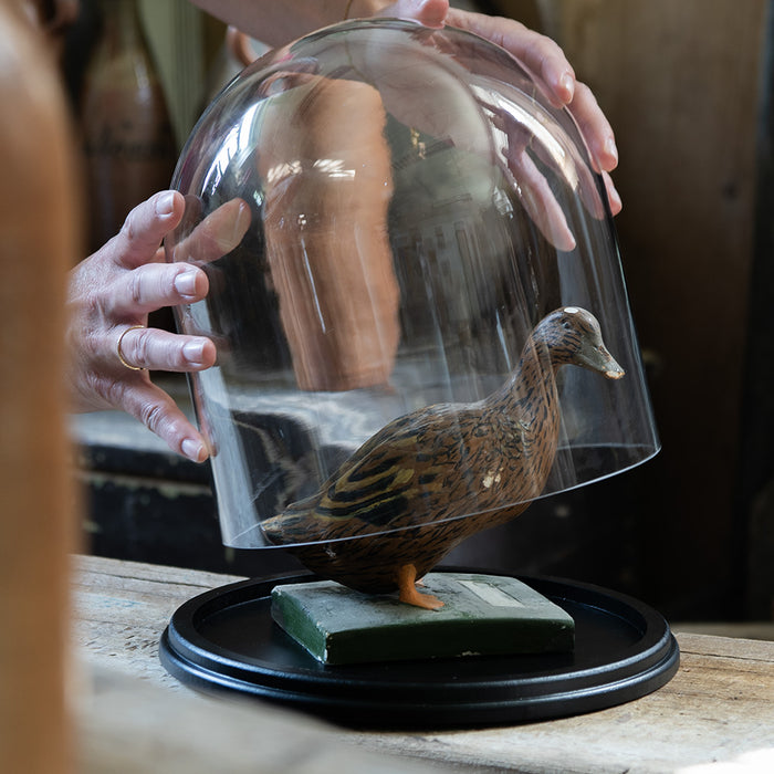 e1fbc5a6-522d-46a3-a27a-f3436d500683-afbeelding8.jpg (10441307)