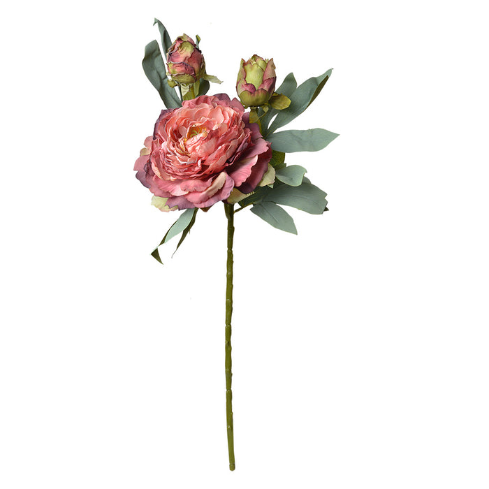 720d2268-699c-4ca3-86f0-8c7065c08e91-afbeelding3.jpg (10441431)