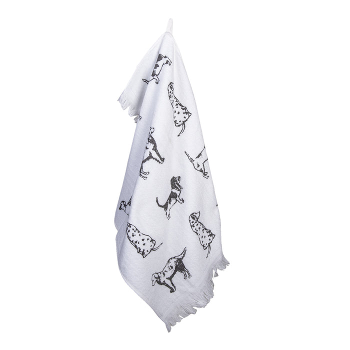 36ed2848-0efa-4c44-97e5-fab8aa38af72-afbeelding4.jpg (10441546)