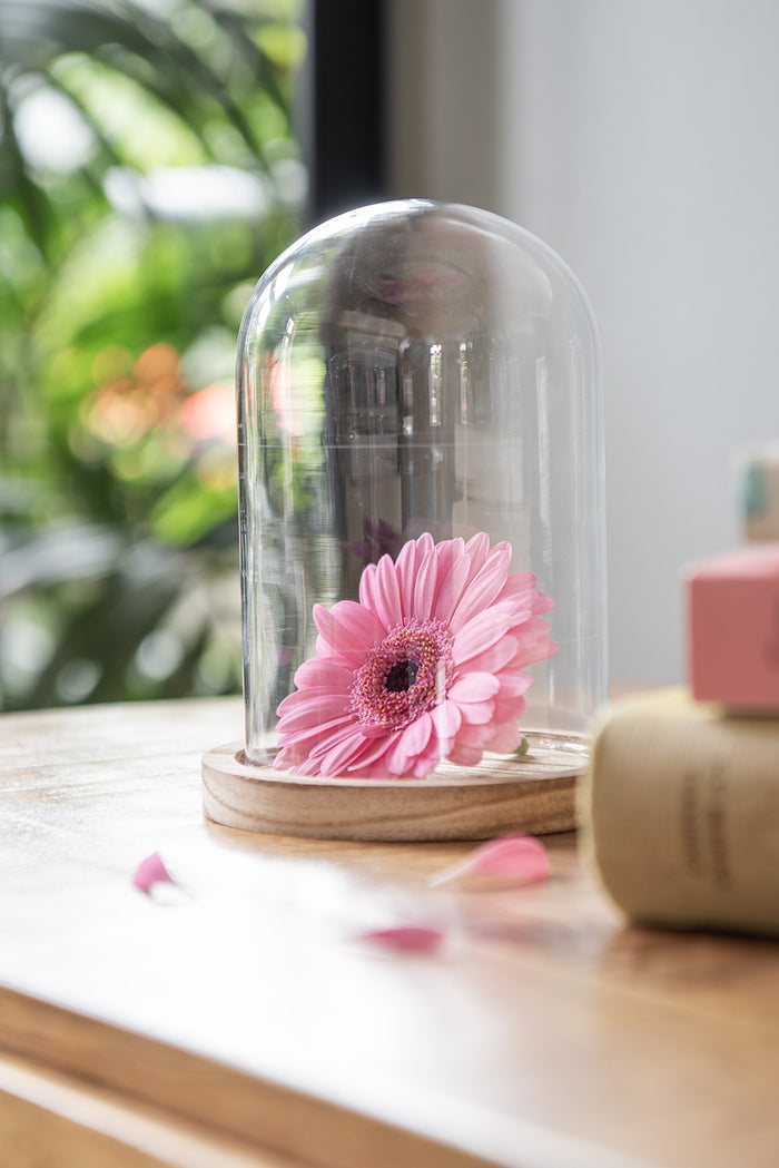 7b04f737-1f8b-4513-b08b-9946e3d7cf89-afbeelding7.jpg (10441778)