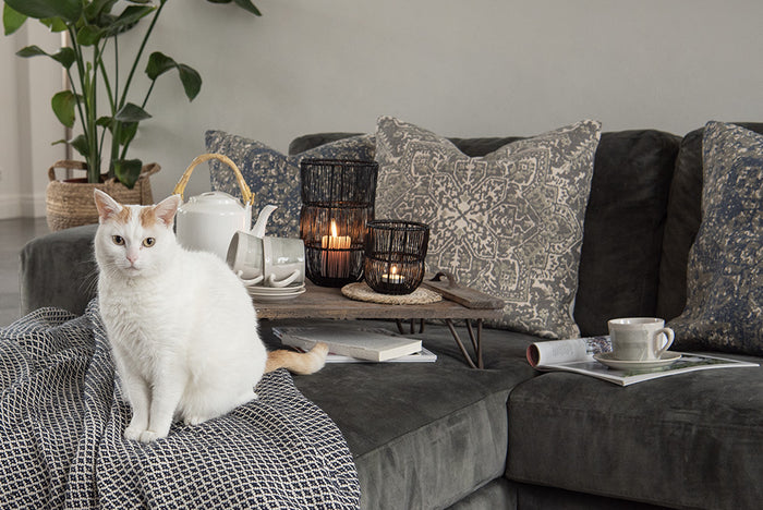 46b80dcf-ff1a-40fa-87e7-dcd9b8d606f7-afbeelding7.jpg (10442145)