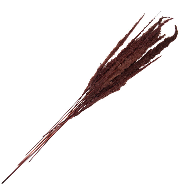 Clayre & Eef Droogbloemen 100 cm Bruin Droogbloemen Droogboeket