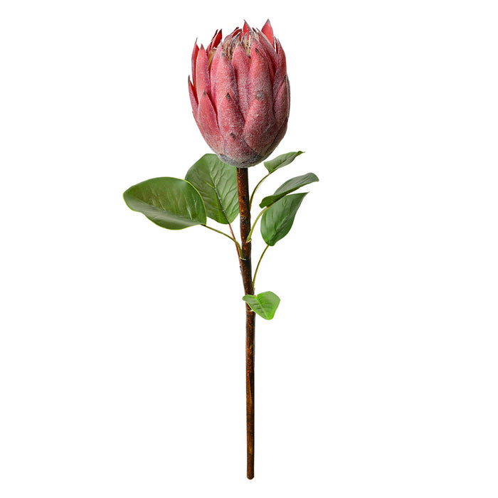 68deac48-8539-4408-879d-80575c3cf6c3-afbeelding3.jpg (10442539)