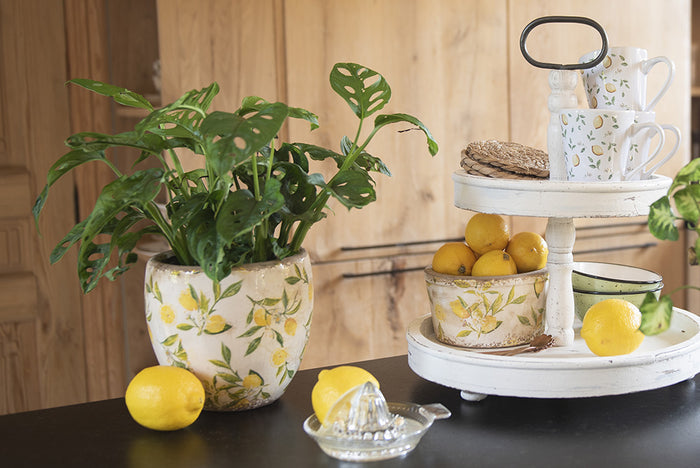 3bf7e6c9-8ba6-4a49-9c50-02d4dd201506-afbeelding4.jpg (10442545)