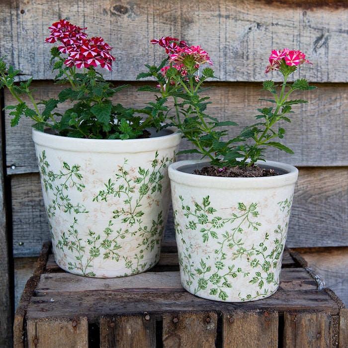 396faf53-93b9-45bd-be70-52a0a99e3eda-afbeelding4.jpg (10442761)