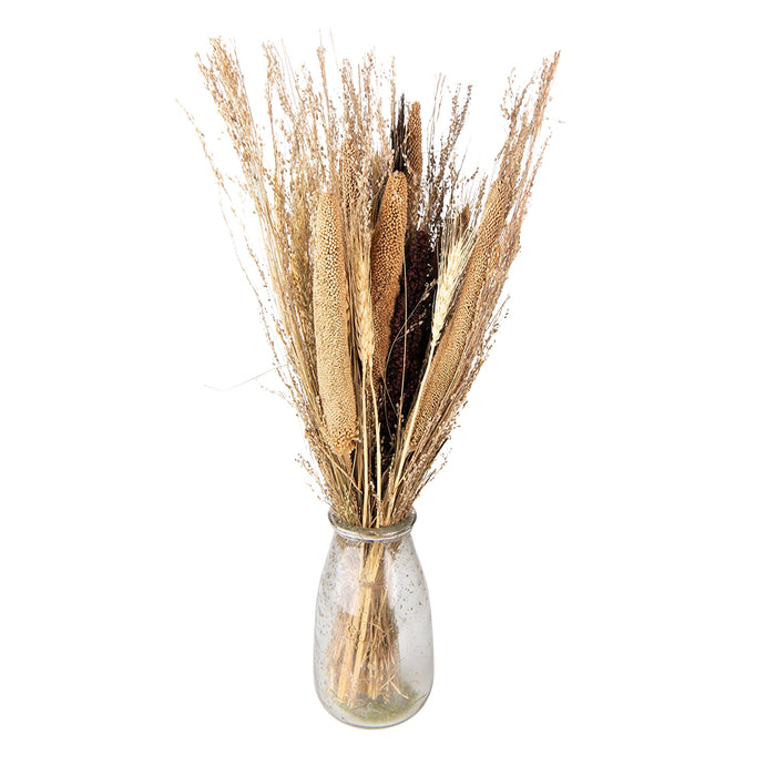 2105e73d-2661-4f54-b09b-69cfa8b23de9-afbeelding4.jpg (10443822)