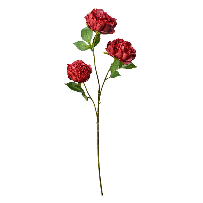 eb503bff-9e8d-429e-bc91-1aa1da552b70-afbeelding3.jpg (10445503)