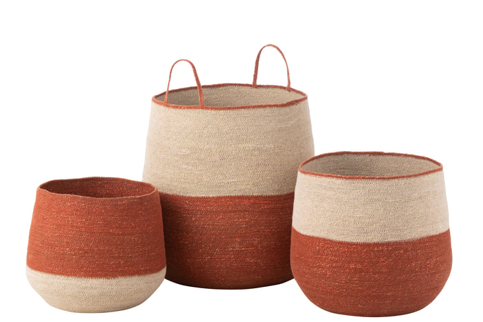 8e9943cf-5d1f-4b5d-9567-5d63653260f9-afbeelding3.jpg (10447689)