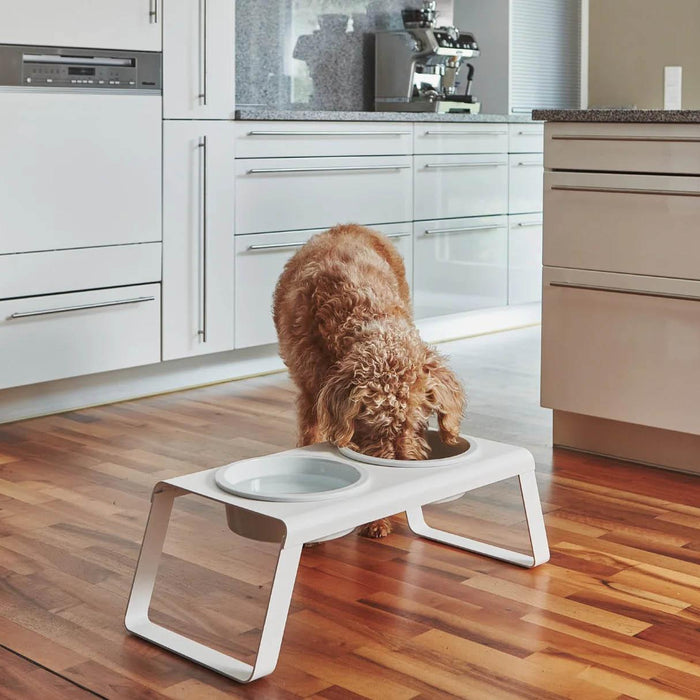 MiaCara Desco hondenvoerbak porselein small walnoot