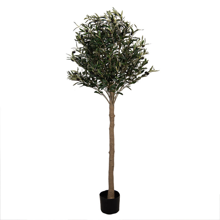 Clayre & Eef Kunst Olijfboom 165 cm Groen Kunststof